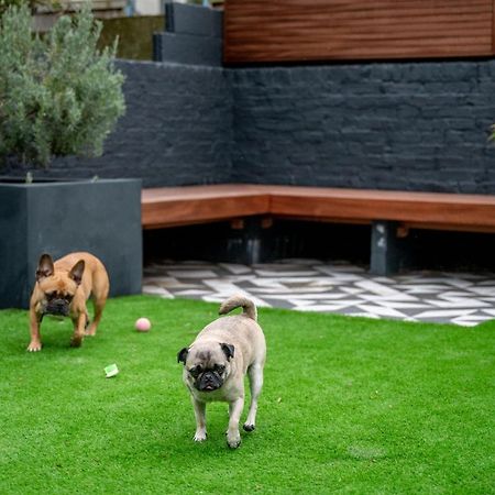 Doghouse Margate住宿加早餐旅馆 外观 照片