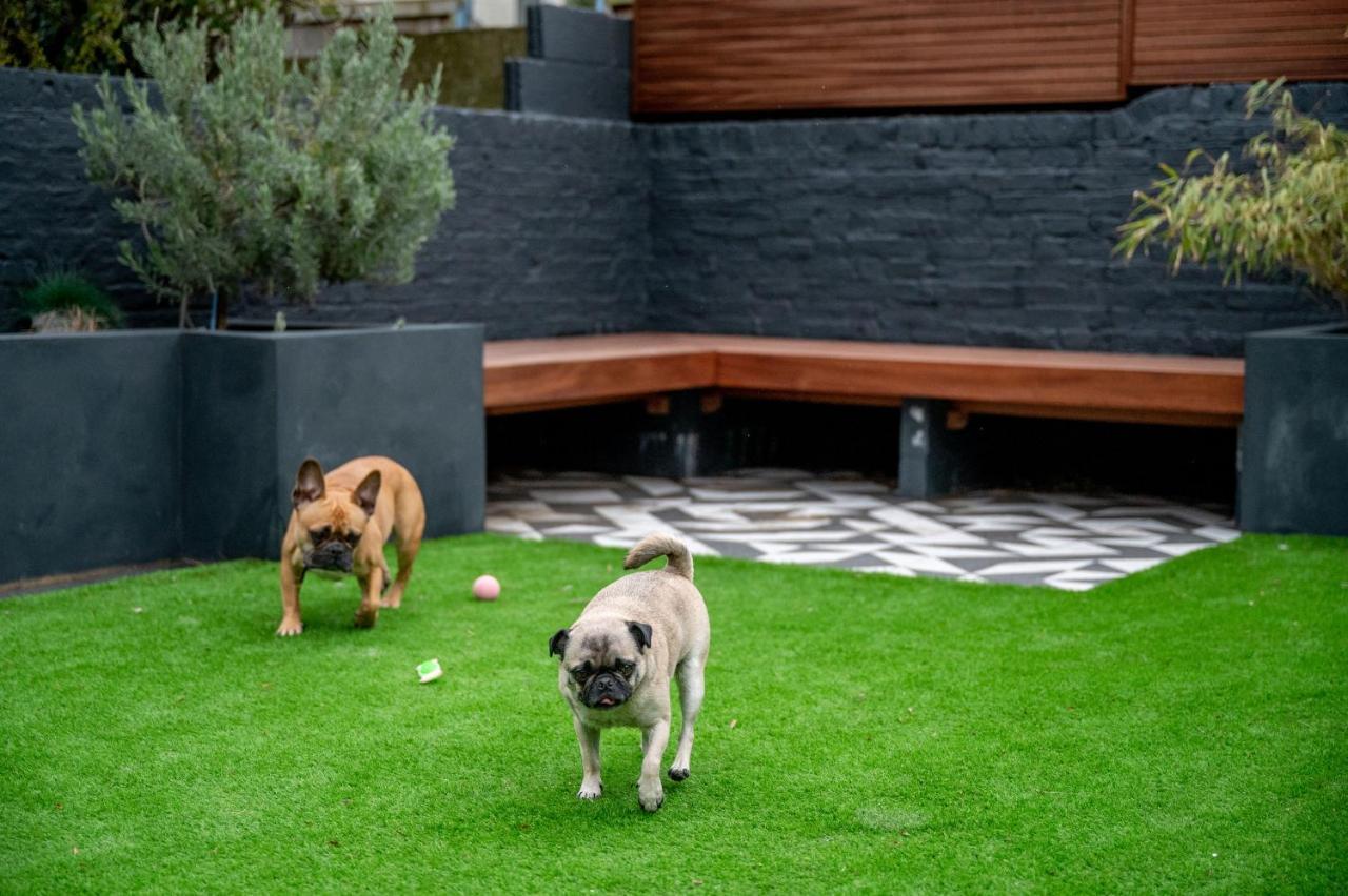 Doghouse Margate住宿加早餐旅馆 外观 照片